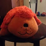 Roger Keefer - @rogersadventures - Instagram