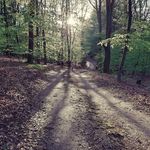 Roger Keller - @roger.keller.397 - Instagram