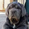 rogerkeller449 - @rogerkeller449 - TikTok