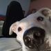 Roger Kersey - Facebook