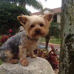 Roger Key - @roger411 - Instagram