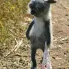 thandyos - @roger.key.no - TikTok