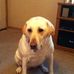 Roger Kline - Facebook
