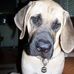 Roger J. Knop - Facebook