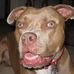 Roger Knop - Facebook