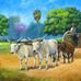 Roger Knop - Facebook