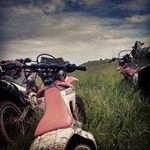 Roger Knupp - @rogerio1608 - Instagram