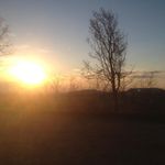 Roger Kohler - @kohler_roger - Instagram