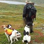 Roger Köhler - @rogerkohler - Instagram