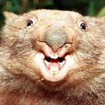 Roger Kohlhoff - @rogerkohlhoff - Instagram