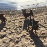 Roger Köhler - @rkohlero - Instagram