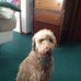 Roger Koski - Facebook