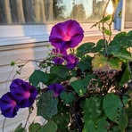 Roger Kranz - Facebook
