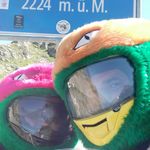 Roger Krebs - @jlkp4007 - Instagram