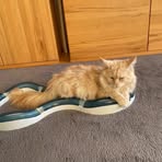 Roger Kunkel - Facebook