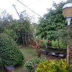 Roger J Lara - Facebook