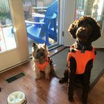 Roger Larkin - @roger_larkin11 - Instagram