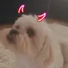 RogerLavigne - @roberahfoyw - TikTok