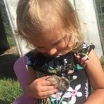 Roger Leach - @leach.rogeryes - Instagram