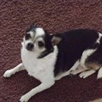 Roger Leach - @rogleach - Instagram