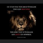 Roger Lebeau - @lebeau.roger - Instagram