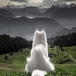 Roger Lemaître - @roger.lemaitre1 - Instagram