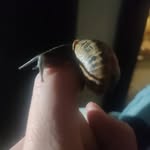 roroelbpyman - @roger_le_man - Instagram