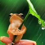 Roger Liberman - @rgr835 - Instagram