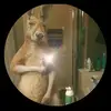 Roger Lincoln - @linconl58 - TikTok