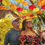 Rogério Lippi - @rogerio.lippi - Instagram