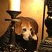 Roger Logsdon - Facebook