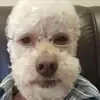 roger - @rogerlowtzz - TikTok