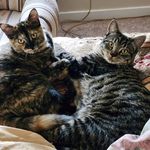 Roger Lytle - @rlytle1965 - Instagram