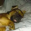 mackenzie - @mackenzieroger - TikTok