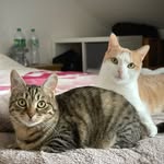 Roger_MacKenzie_RB - @roggersierrayukimckenzie - Instagram
