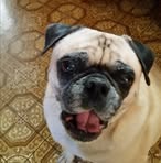 Roger Maggard - Facebook
