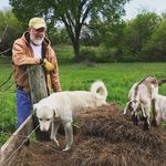 Roger Maher - @lindaismyfavorite - Instagram