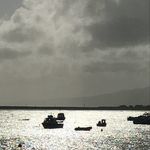 Roger Mahony - @mahony_roger - Instagram