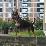 Roger Maier - @roger.maier.75 - Instagram