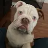 roger.marco - @roger.marco - TikTok
