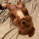 Roger Marrette - @rogermarrette - Instagram