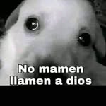Roger D'angel - @roger_martz_2005 - Instagram