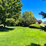 Roger Masis - @roger.masis - Instagram