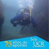 Roger Masis Barrante - @masis92 - TikTok