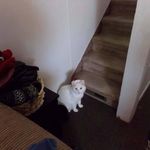 Roger Mathieu - @roger.mathieu.50159 - Instagram