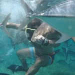 Marco Barbieri - @rogermatthew - Instagram