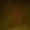 rogermauro64266 - @rogermauro64266 - TikTok