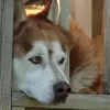 rogermayes77 - @rogermayes77 - TikTok