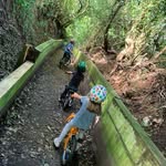 Roger Mays - @ecobuttriker - Instagram