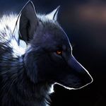 StevenRogers - @steven_rogers_mcalister - Instagram